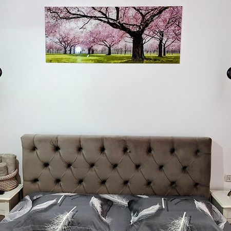 White Studio Кымпулунг-Молдовенеск Экстерьер фото