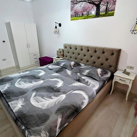 White Studio Кымпулунг-Молдовенеск Экстерьер фото